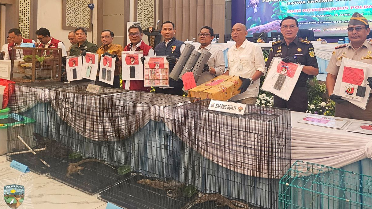 Banner Jejak Perdagangan Satwa Dilindungi Terbongkar, Negara Tegaskan Skema Penyelamatan dan Pelepasliaran