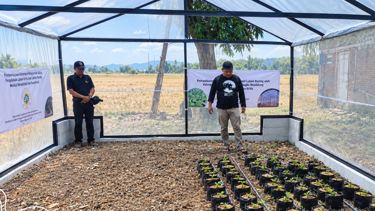 Banner Setelah Pelatihan Usai, Greenhouse Bawean Mulai Menumbuhkan Hasil