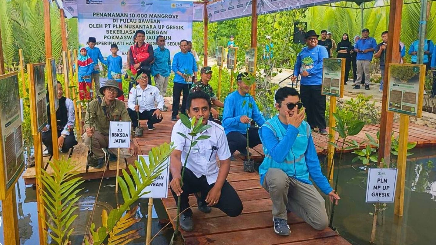 Banner 10.000 Mangrove Untuk Pesisir Bawean