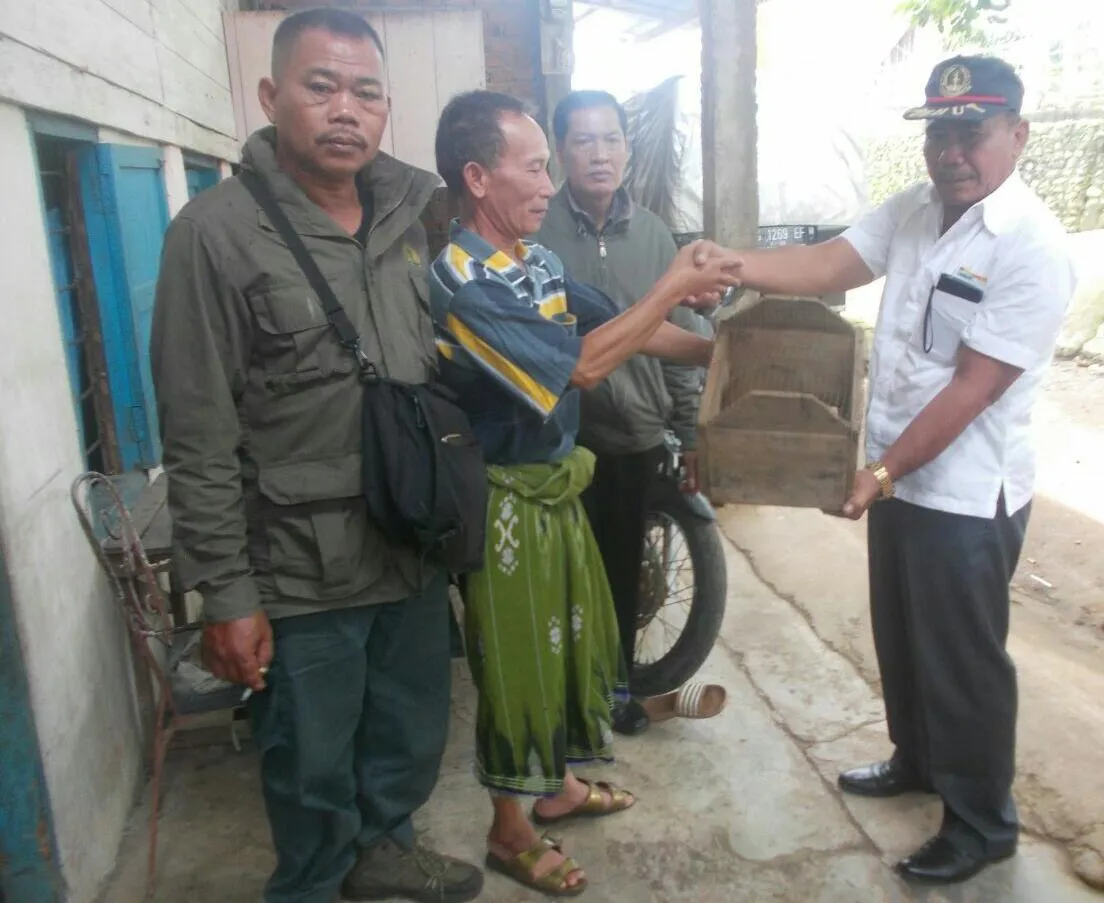 Banner Cyber Patrol BKSDA Sumsel Amankan Kukang (Nycticebus Coucang) Melalui Penelusuran Media Sosial