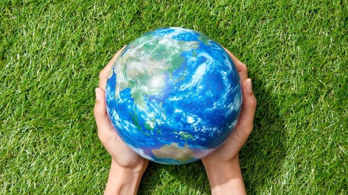 Banner Hari Hutan Sedunia (International Day of Forests)