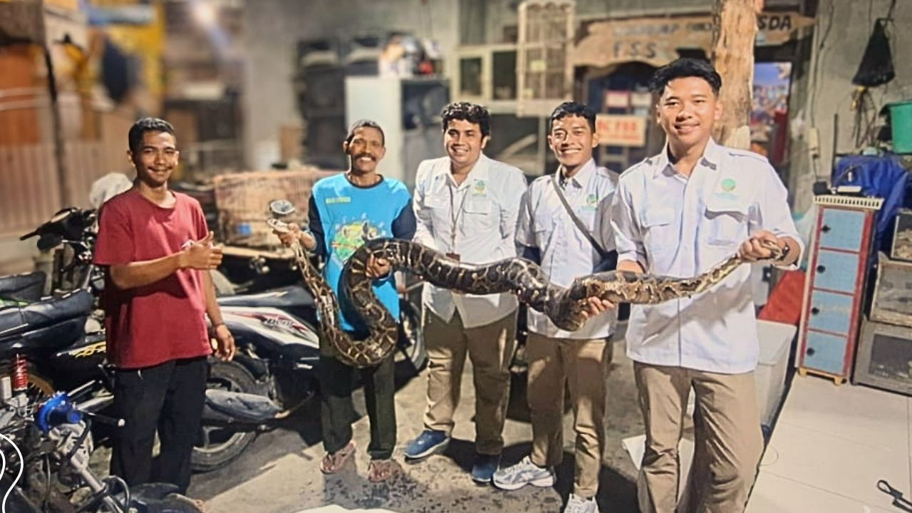 Banner Empat Ular Diserahkan, Kepercayaan Masyarakat kepada Konservasi Terus Tumbuh