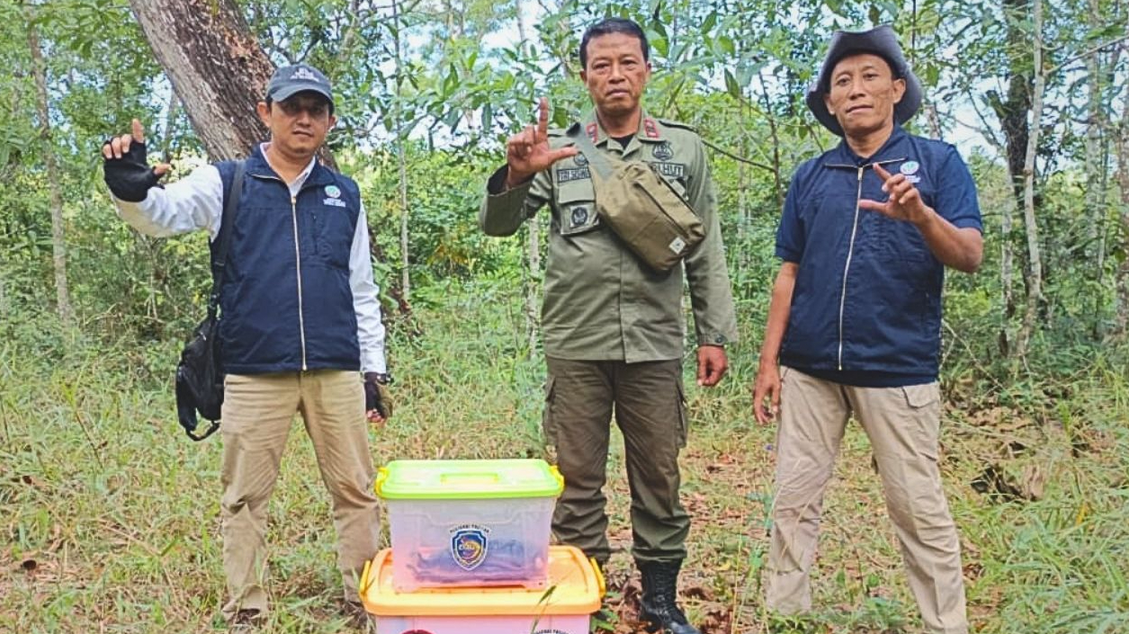 Banner Empat Ular dari Permukiman Pacitan Dilepas ke Hutan Lindung