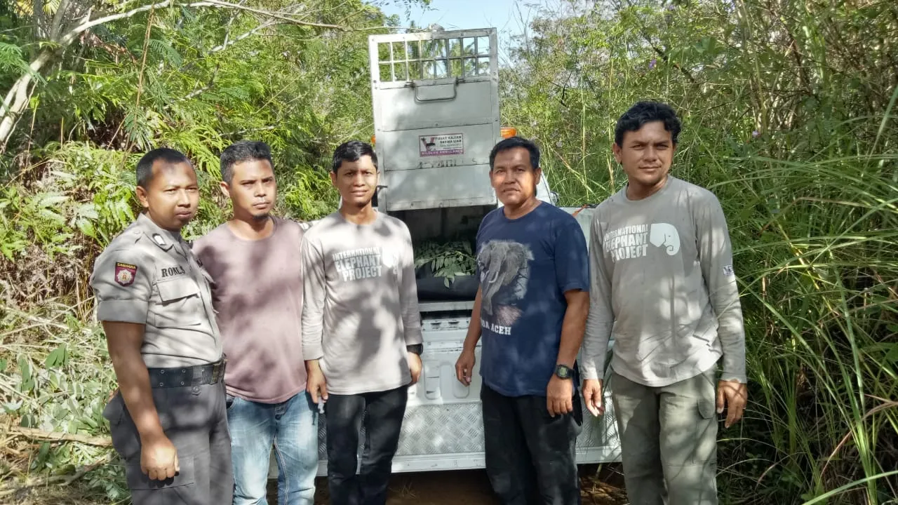 Banner Penyelamatan Beruang Madu (Helarctos malayanus) Terjerat di Bener Meriah