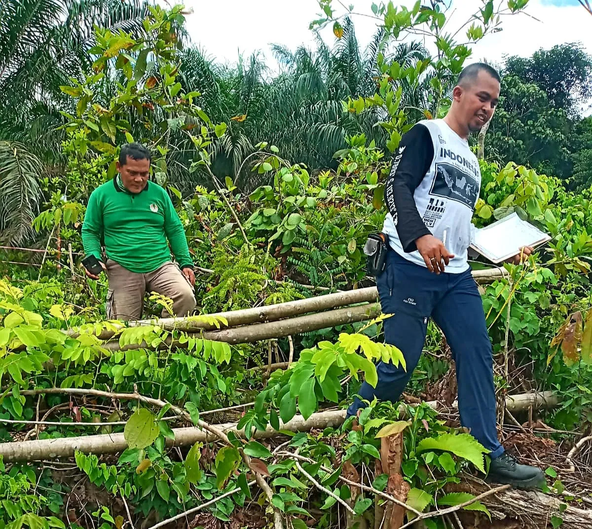 Banner SM Bukit Rimbang Bukit Baling Dipulihkan Dengan Suksesi Alami