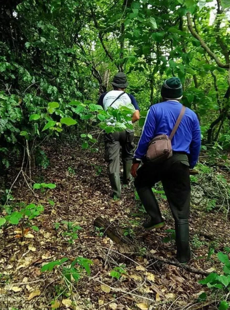 Banner Antisipasi Perburuan Satwa, Polhut Balai TN Bali Barat Rutin Patroli