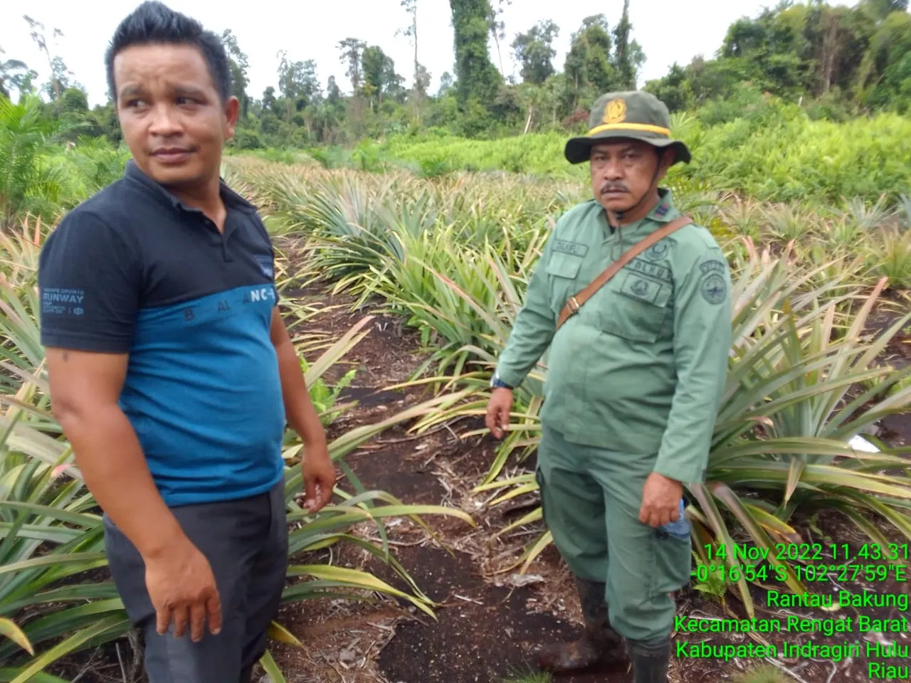 Banner Memantau Aktivitas Sekitar SM Kerumutan