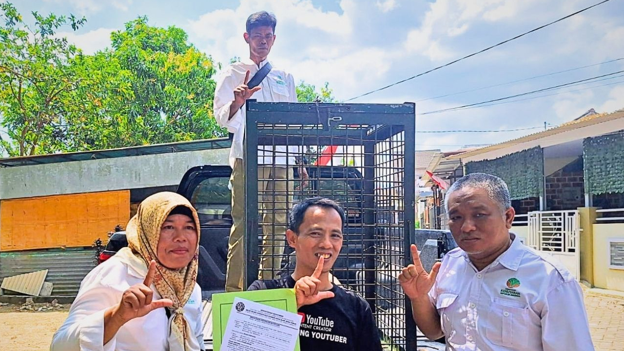 Banner Tahu Dilindungi, Warga Bondowoso Serahkan ke BBKSDA Jatim