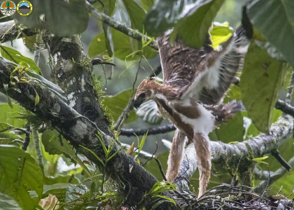 Banner Kelola Kehati Di Tengah Pandemi