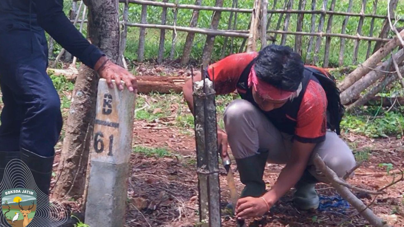 Banner Batas yang Mulai Hilang: Ketika Tiga Penanda Runtuh di Cagar Alam Pulau Saobi
