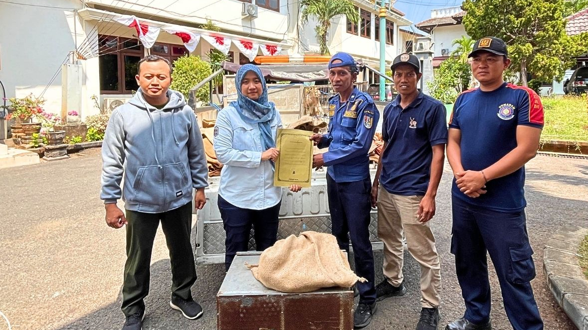 Banner Tak Berstatus Dilindungi Bukan Berarti Tak Perlu Diselamatkan: 25 Satwa Tiba di UPS