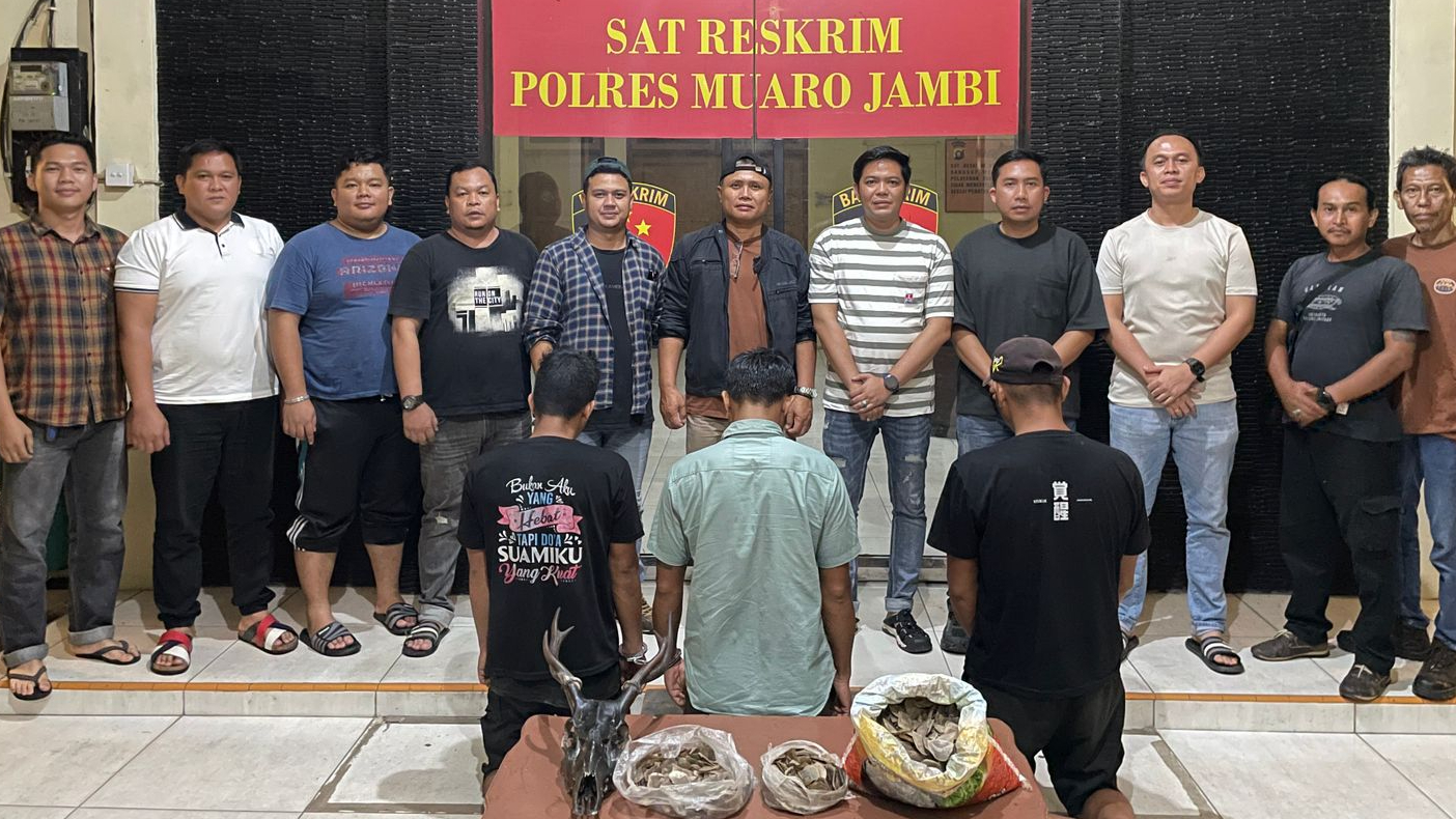 Banner Polisi dan BKSDA Jambi Gagalkan Perdagangan Ilegal Sisik Trenggiling Di Muaro Jambi