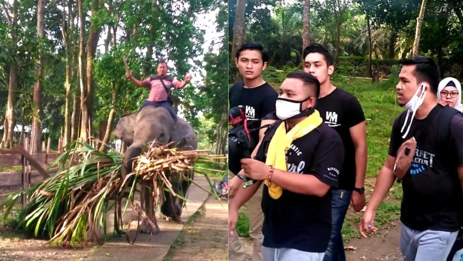 Banner Kunjungan Peserta Bujang Kabupaten Kampar di Taman Wisata Alam Buluh Cina