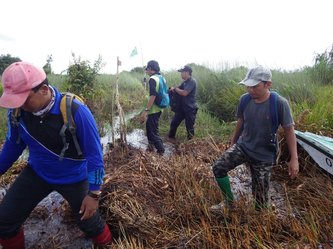 Banner Pelibatan Masyarakat Dalam Pemulihan Ekosistem Dengan Adopsi Pohon Di TN Sebangau