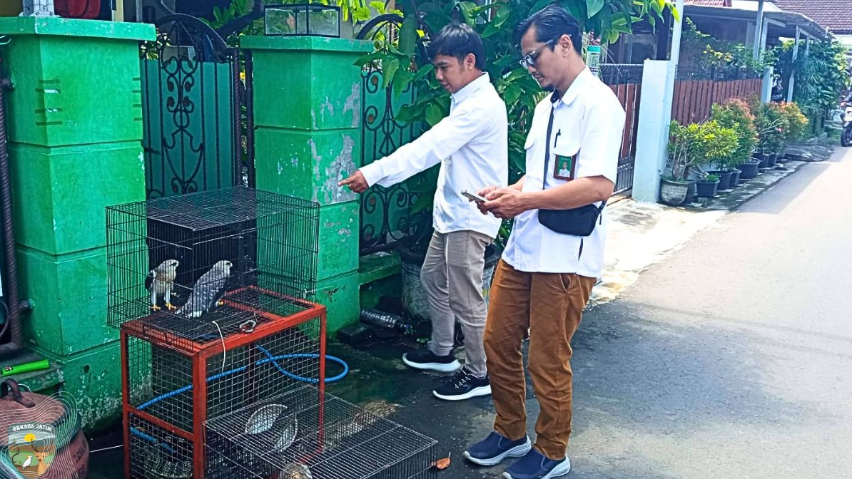 Banner Ujian Naluri Satwa Liar Hasil Penyerahan di Madiun
