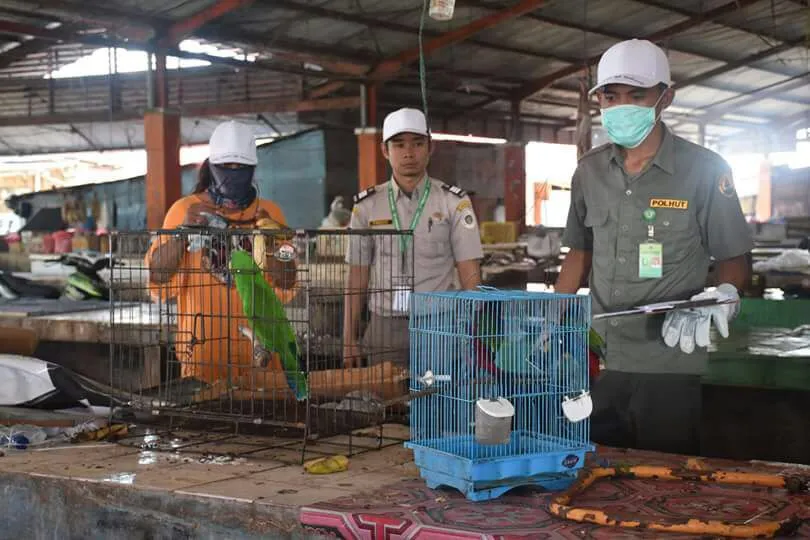 Banner Sidak Dalam Rangka Peringatan Hari Cinta Puspa dan Satwa