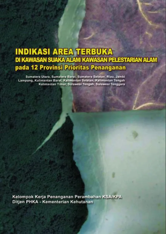 Laporan INDIKASI AREA TERBUKA DI KSA/KPA Pada 12 Provinsi Prioritas Penanganan