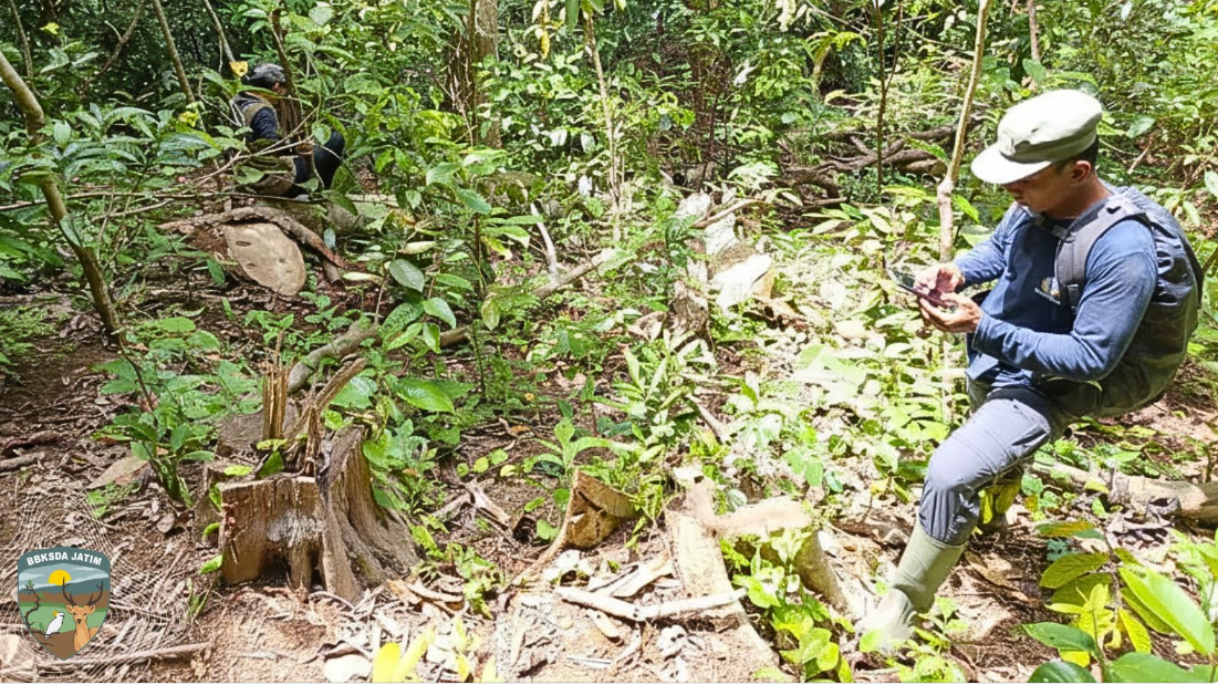 Banner Jejak Yang Tak Hilang, Patroli KSDA Temukan Luka Lama Di Hutan Bawean