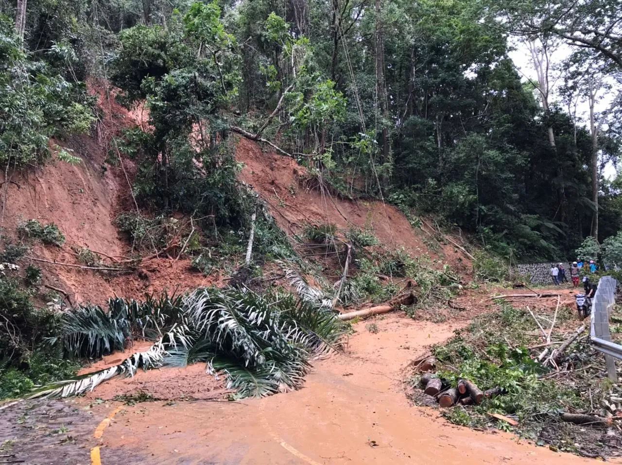 Banner Dampak Siklon Seroja di TN Matalawa
