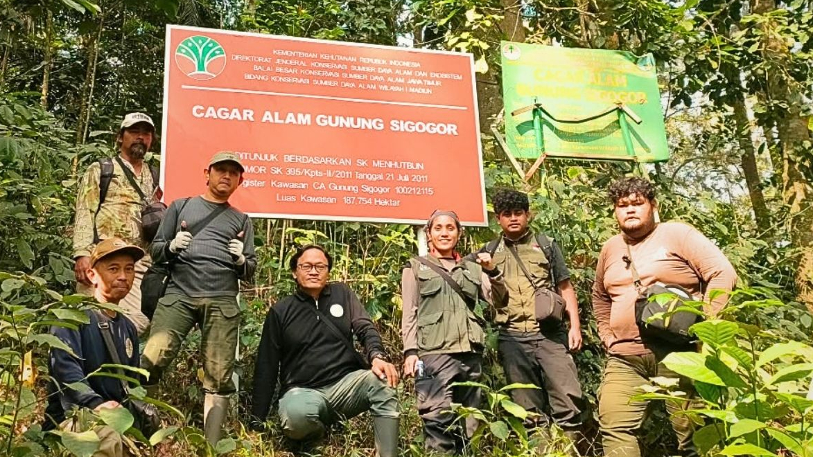 Banner Cagar Alam Gunung Sigogor Dipersiapkan Sebagai Tempat Pelepasliaran Lutung Jawa