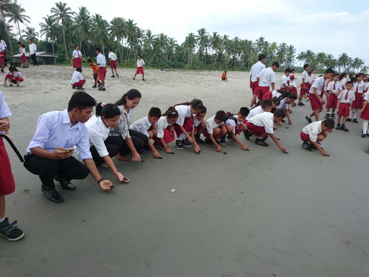 Banner Pelepasan Tukik, Lelah Yang Terbayar Tuntas