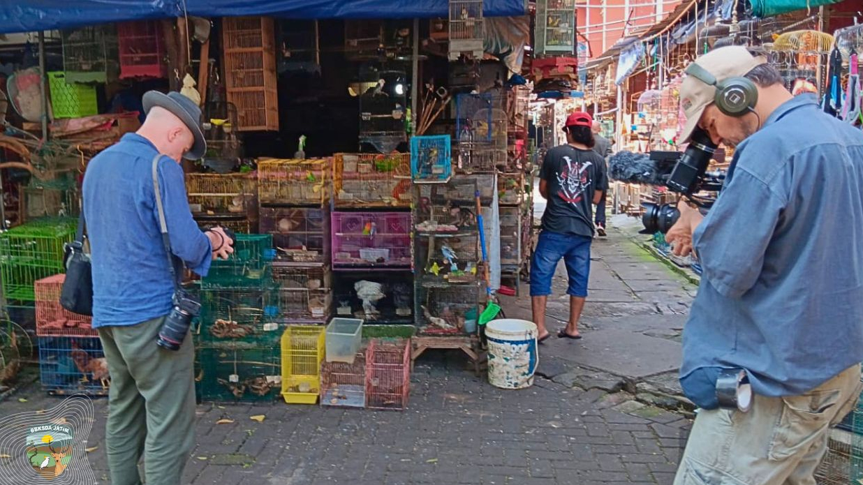 Banner Merekam Bratang, Antara Tradisi, Pasar Sepi, dan Pesan Konservasi