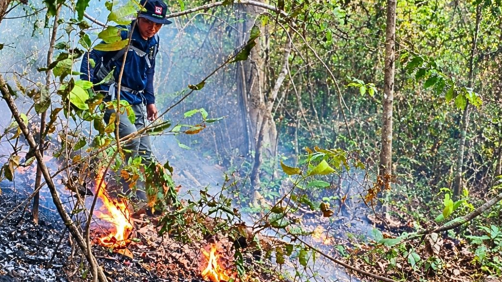 Banner Tiga Bekas Kebakaran Jadi Alarm di Hutan Bawean