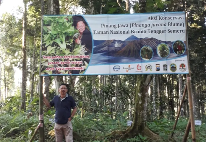 Banner TN Bromo Tengger Semeru berhasil Meng-Konservasi Tanaman Pinang Jawa
