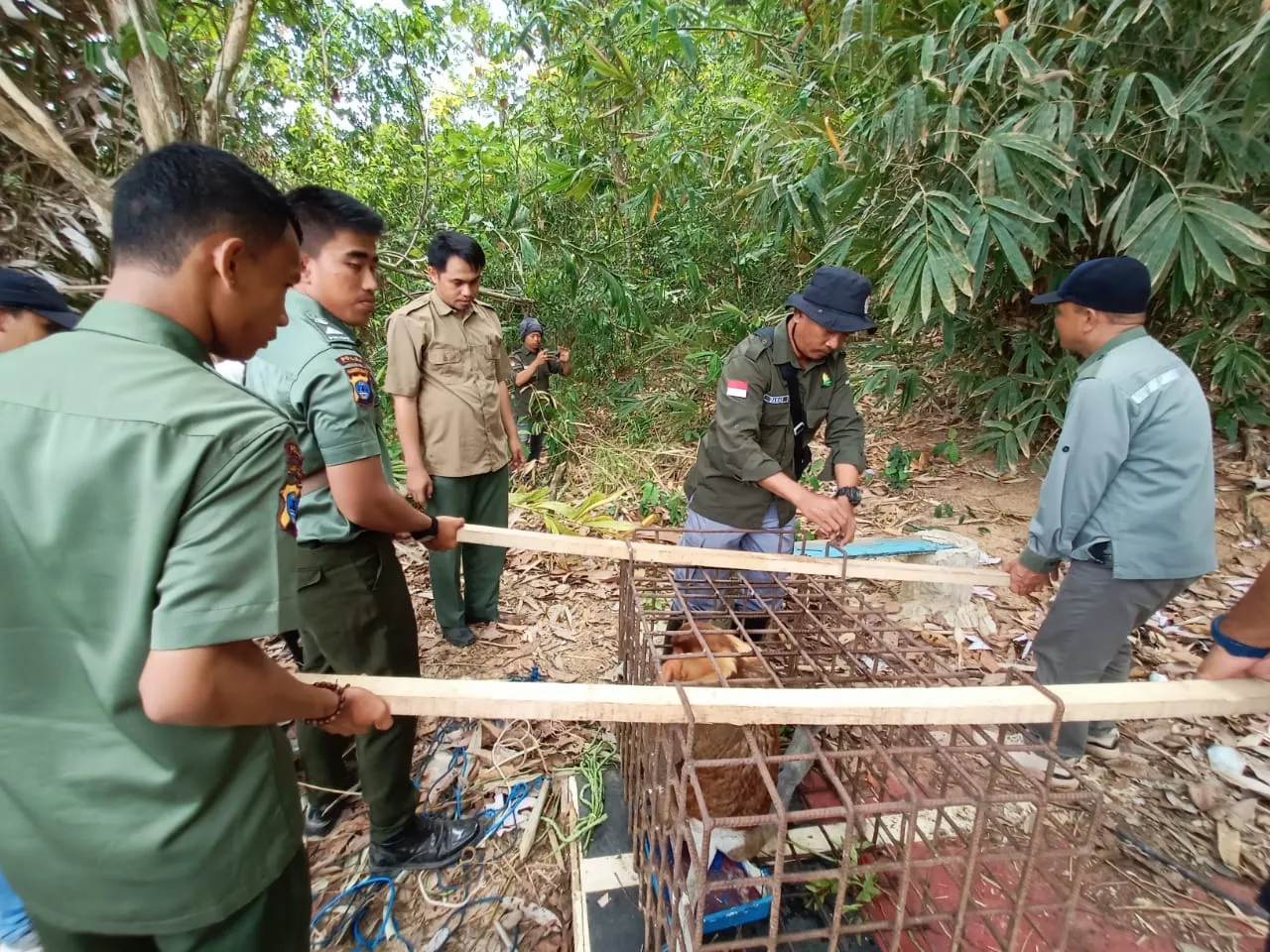 Banner Lepasliar Bekantan ke TWA Pulau Suwangi