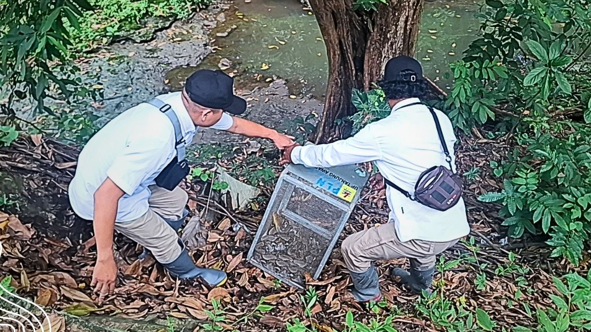 Banner Pelepasliaran Sanca Kembang di Jantung Hutan Dander