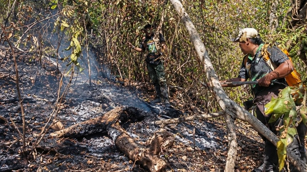 Banner Api Menembus Batas, 6,14 Hektar Suaka Margasatwa Pulau Bawean Terbakar