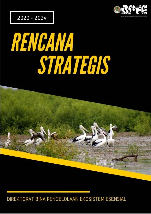 Laporan Rencana Strategis Direktorat BPEE Tahun 2020-2024