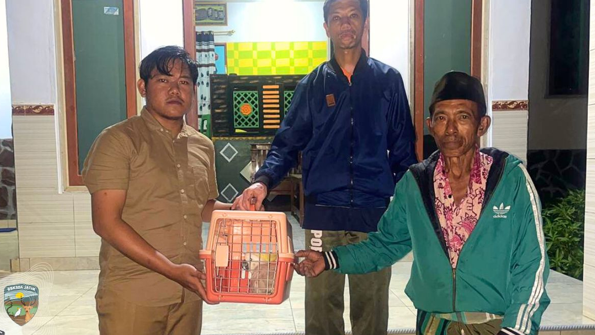 Banner Tiga Hari Terdengar Jeritan Misterius, Tim Matawali Ungkap Faktanya !