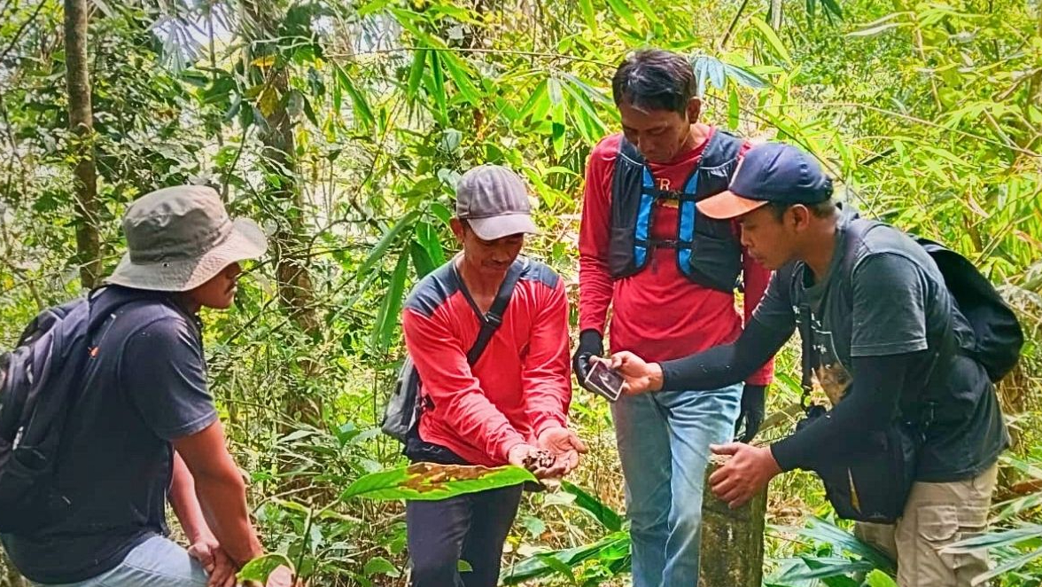 Banner Sebelum Api Menyentuh Sigogor, Para Penjaga Hutan Sudah Beraksi