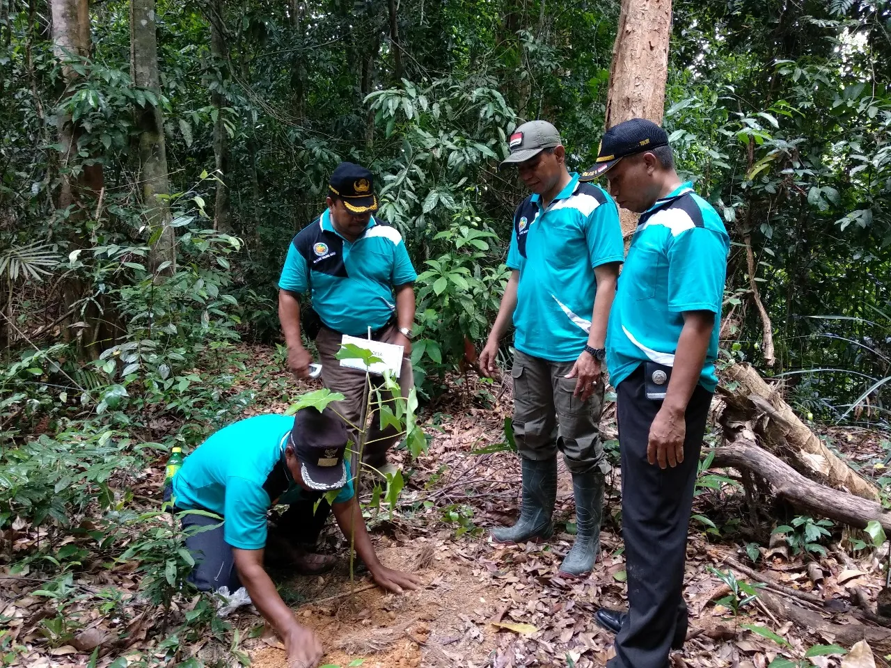 Banner Pemulihan Ekosistem di Suaka Margasatwa Pinjan Tanjung Matop