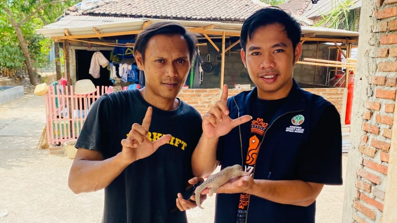 Banner Anakan Trenggiling di Tepi Sawah, Membaca Lanskap Liar Ponorogo