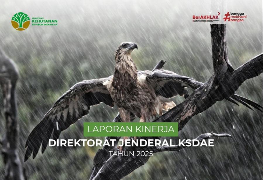 Cover Laporan Laporan Kinerja Direktorat Jenderal KSDAE Tahun 2025
