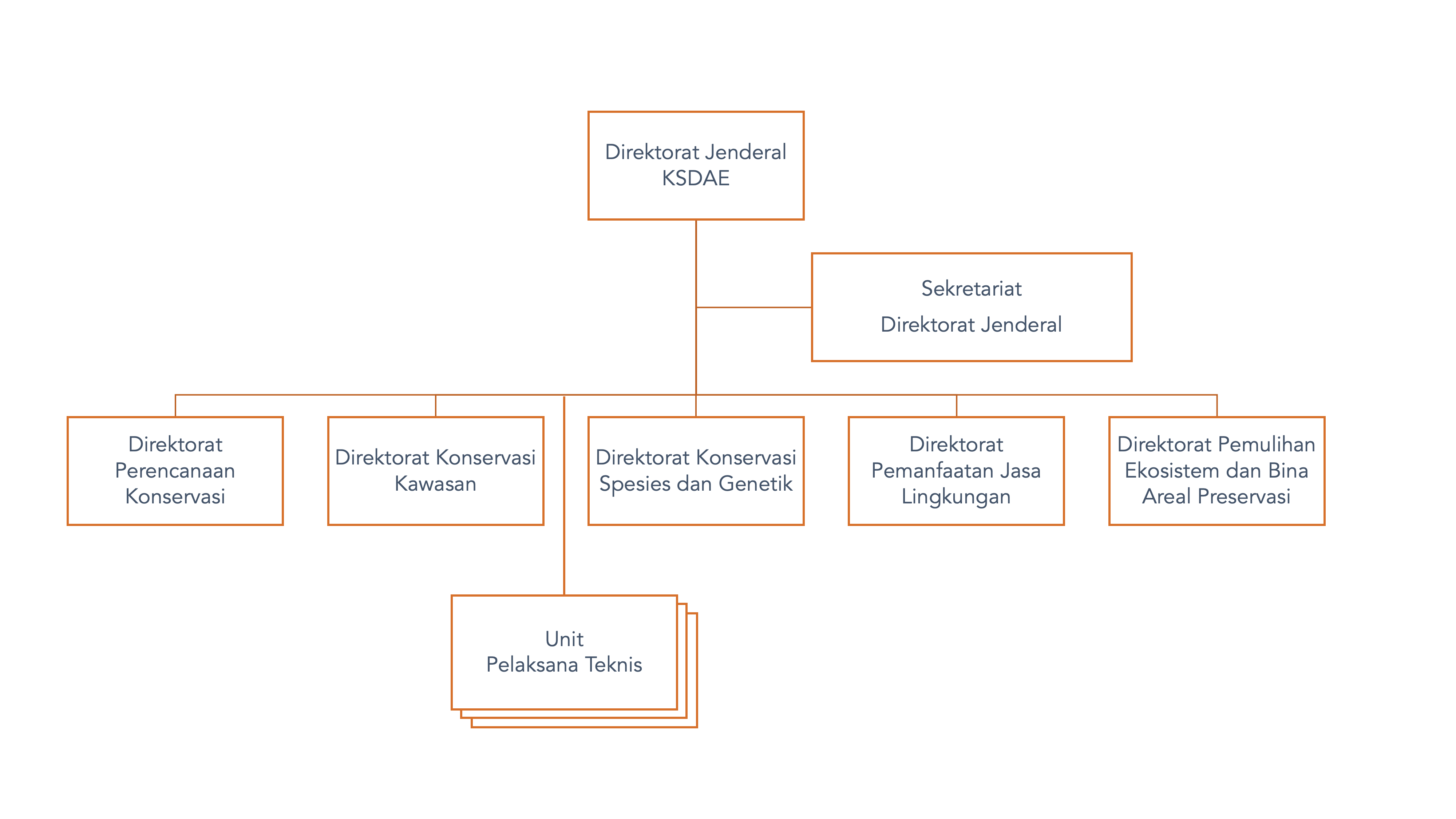 Struktur Organisasi Direktorat Jenderal KSDAE