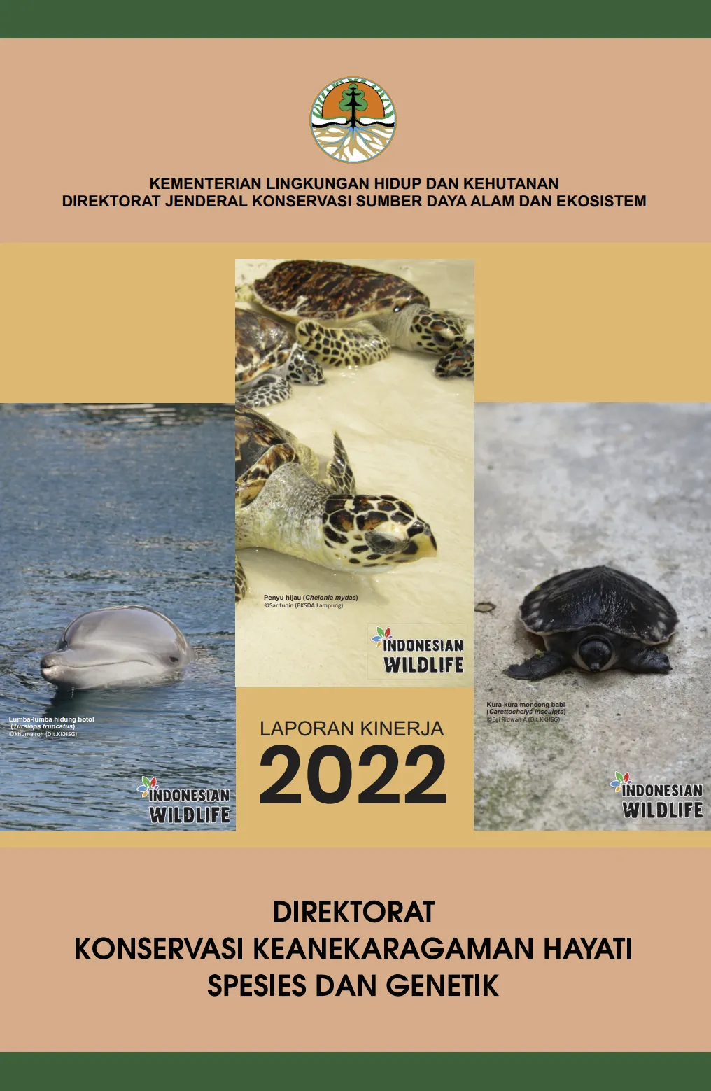 Laporan Laporan Kinerja 2022 Dit. Konservasi Keanekaragaman Hayati Spesies dan Genetik