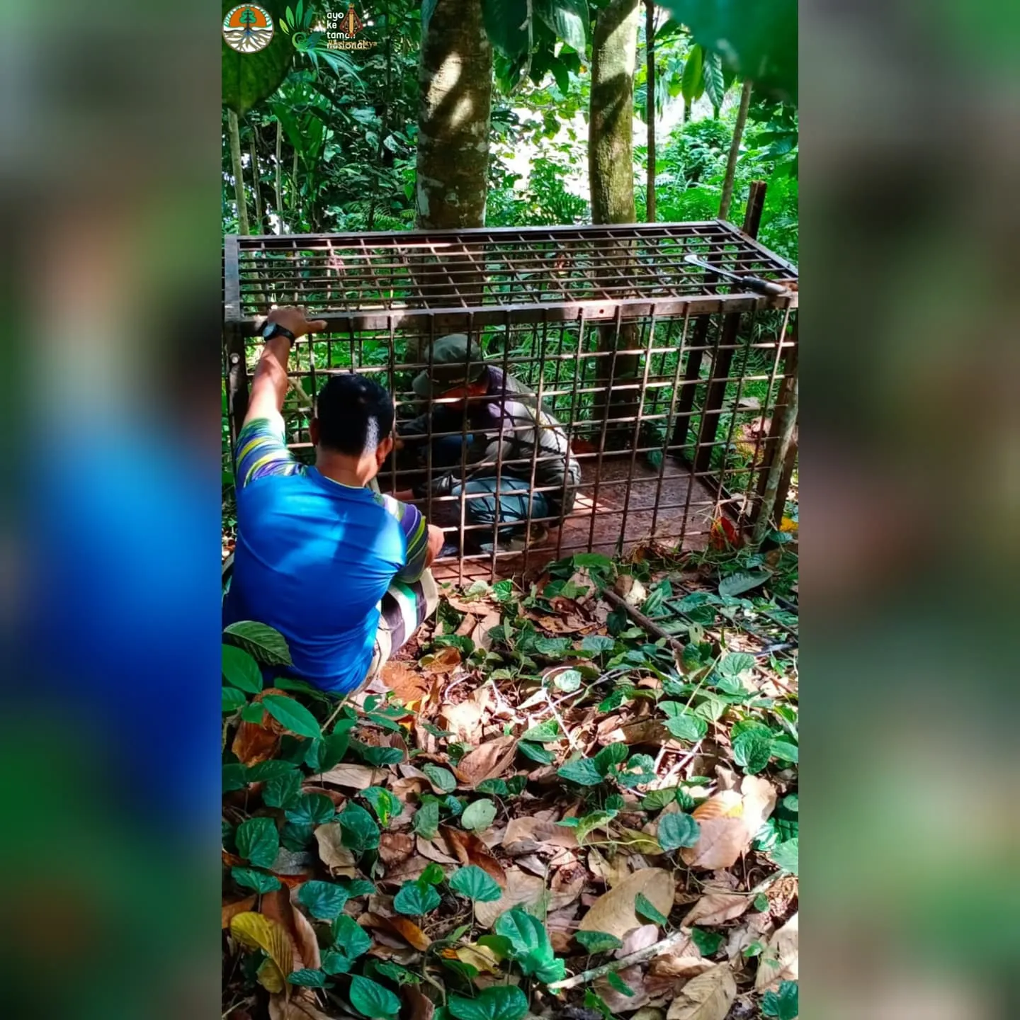 Banner Gerak Cepat Masyarakat Sijunjung Hindari Konflik Dengan Beruang Madu