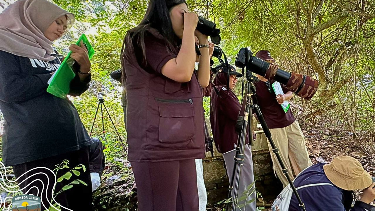 Banner TGX Bird Walk, Dari Sketsa hingga Identifikasi, Jejak Burung Dicatat di Trenggalek