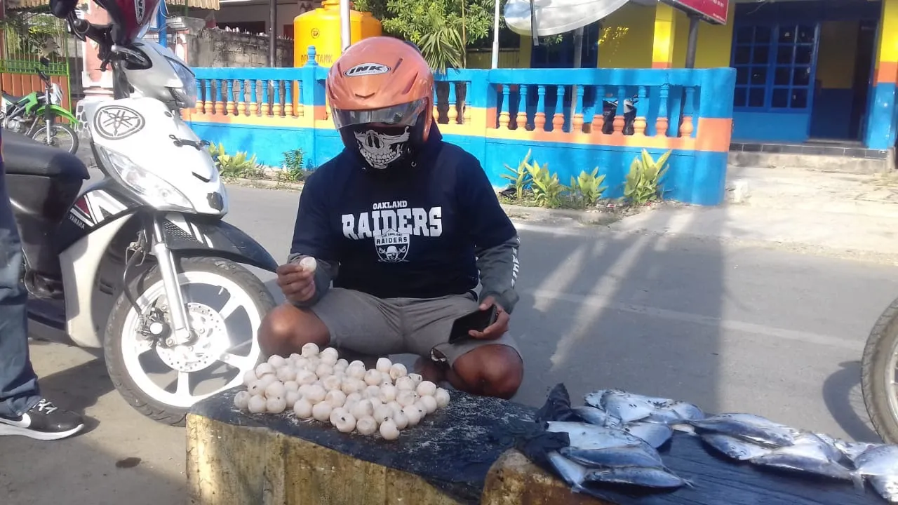 Banner Nyaris terjual, 104 telur penyu diamankan Polhut TN Matalawa