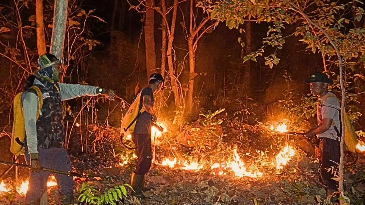 Banner Kebakaran Hutan Bawean di Malam Hari, BBKSDA Jatim Telusuri Penyebabnya