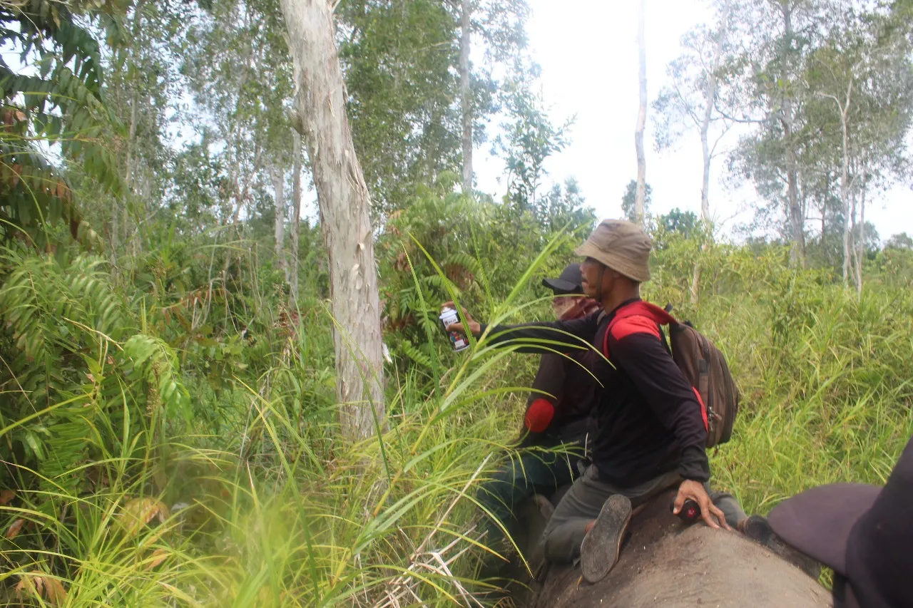 Banner Monitoring Lokasi Pemulihan Ekosistem di SM Padang Sugihan dengan Menggunakan Gajah Sumatera