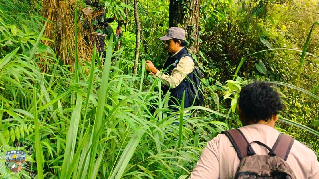 Banner Mahasiswa Biologi Unesa Ikuti Smart Patrol di Cagar Alam Gunung Picis