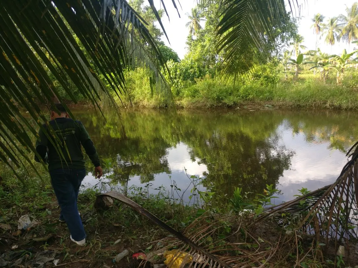 Banner Laporan Kemunculan Buaya Di Desa Sei Kakap Melalui Call Center BKSDA Kalbar