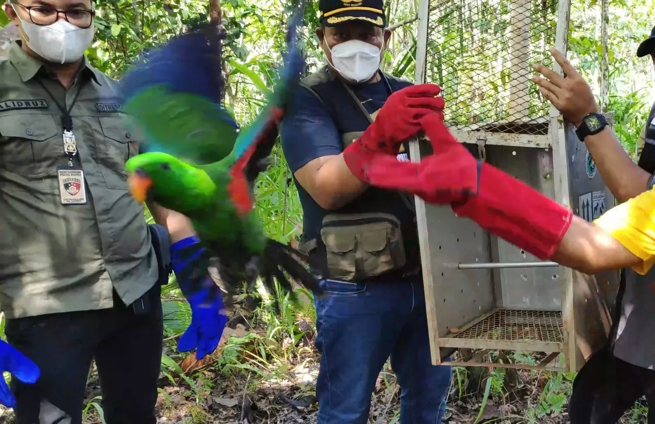 Banner Izinkan Kami Pulang ke Alam