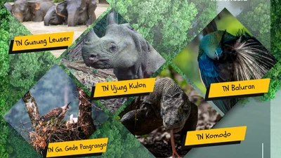 Banner kegiatan Hari Ulang Tahun 5 Taman Nasional Pertama di Indonesia