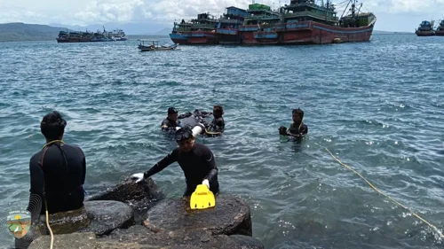Banner Berita Tak Banyak Yang Tahu, Begini Cara Petugas Menjaga Karang Hias Agar Laut Tetap Hidup
