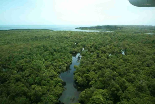 Foto kawasan TN Wakatobi